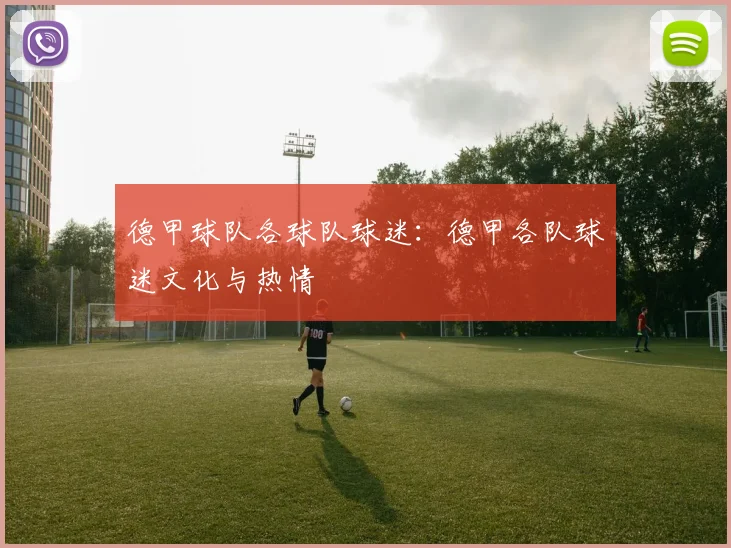 德甲球队各球队球迷：德甲各队球迷文化与热情