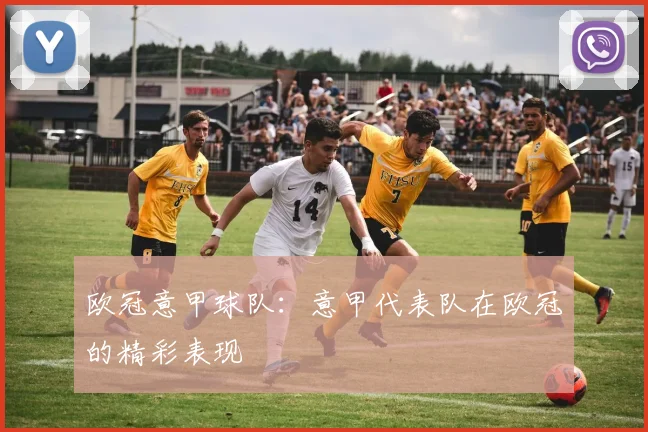 欧冠意甲球队：意甲代表队在欧冠的精彩表现